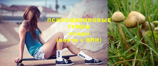 скорость Гусь-Хрустальный