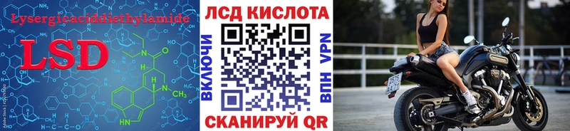 LSD-25 экстази кислота  блэк спрут зеркало  Каргополь 