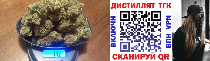 что такое   Каргополь  ТГК концентрат 